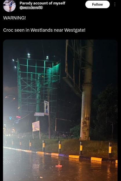 Parody account of myself saldeye69 follow warning! croc seen in westlands near w