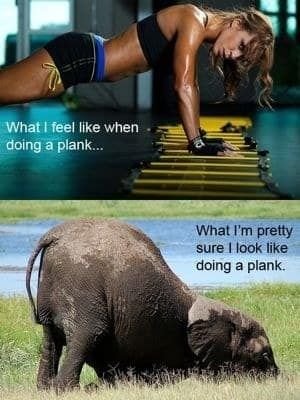 What feel ilke when doing a plank what l'm pretty sure look like doing plank.