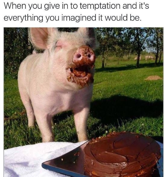 When you give in to temptation and it's everything you imagined it would be.