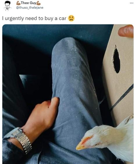 Thee guy thuso_thelejane urgently need to buy a car