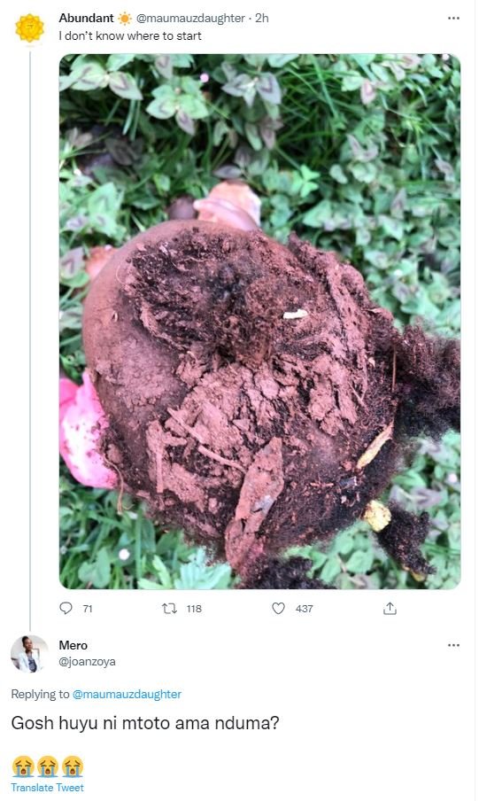 Abundant maumauzdaugnter idon't know where to start 1 118 437 mero oanzoya reply