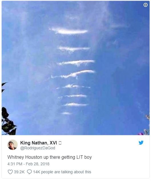 King nathan, xvi rodriguezdagod whitney houston up there getting lit boy 4.31 pm