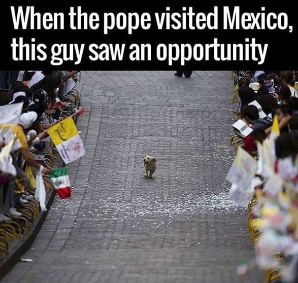 When thepope visited mexico this guy saw an opportunity