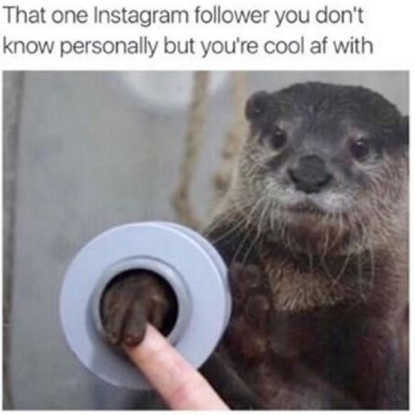 That one instagram follower you don't know personally but you're cool af with