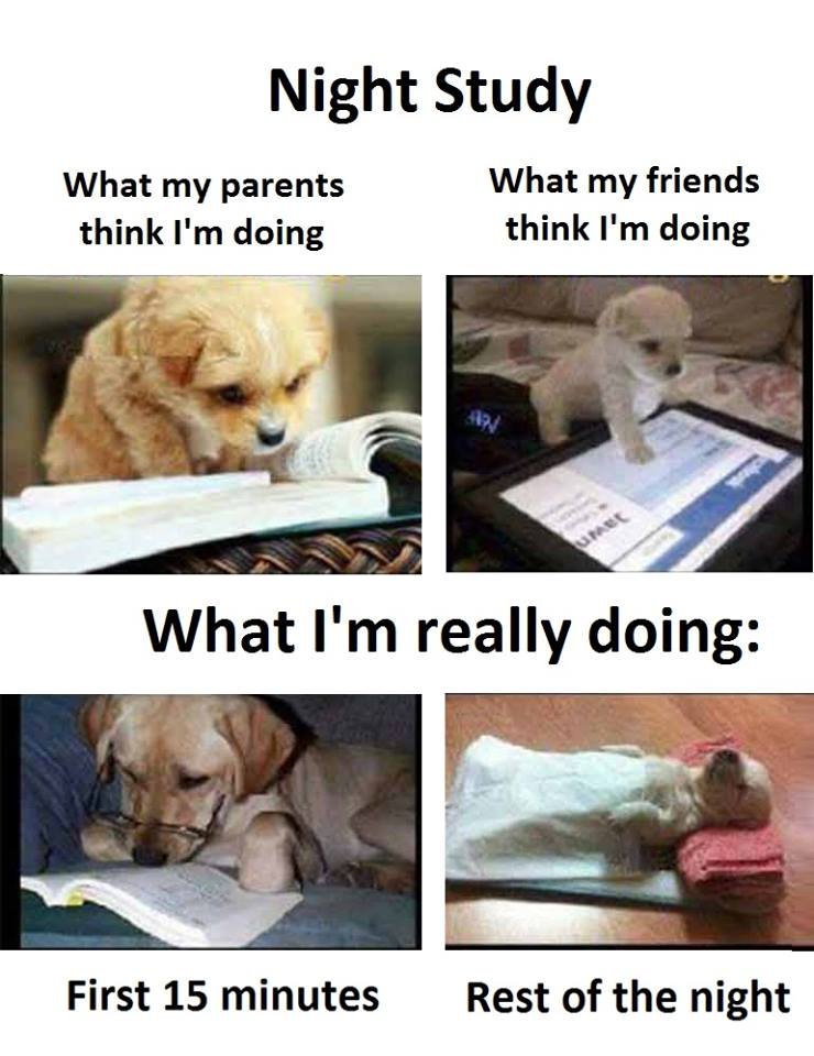 Night study what my parents what my friends think i'm doing think i'm doing what