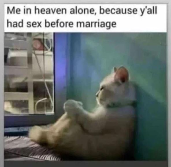 Me in heaven alone because y'all had sex before marriage