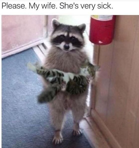 Please my wife. she's very sick.