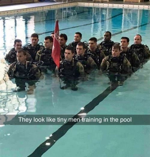 They look like tiny men training in the pool