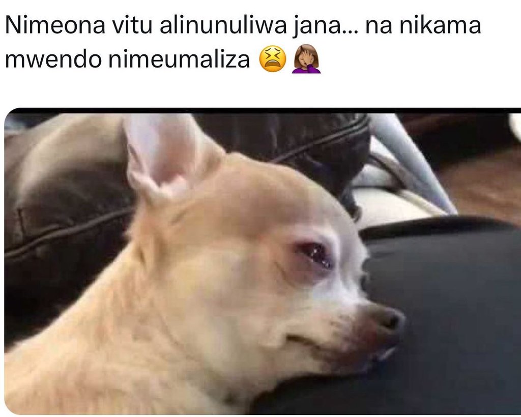 Nimeona vitu alinunuliwa jana_. na nikama mwendo nimeumaliza