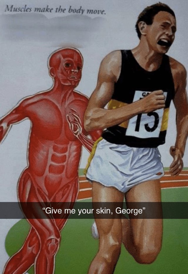 Muscles make the body move. 19 give me your skin, george'