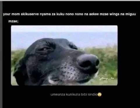 Your mom aklkuserve nyama za kuku nono nono na aekee mzue wings no miquu mzao ui