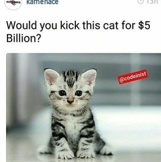 Kamnenace would you kick this cat for 5 billion? codcinist