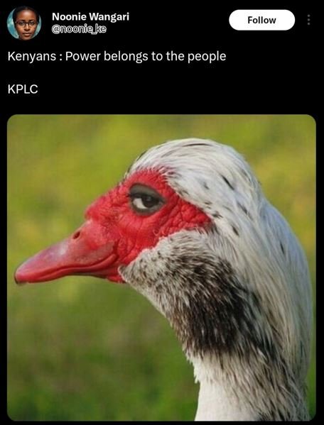 Noonie wangari noonieke follow kenyans power belongs to the people kplc