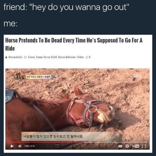 Friend hey do you wanna go out me horse pretends to be dead every time he's supp