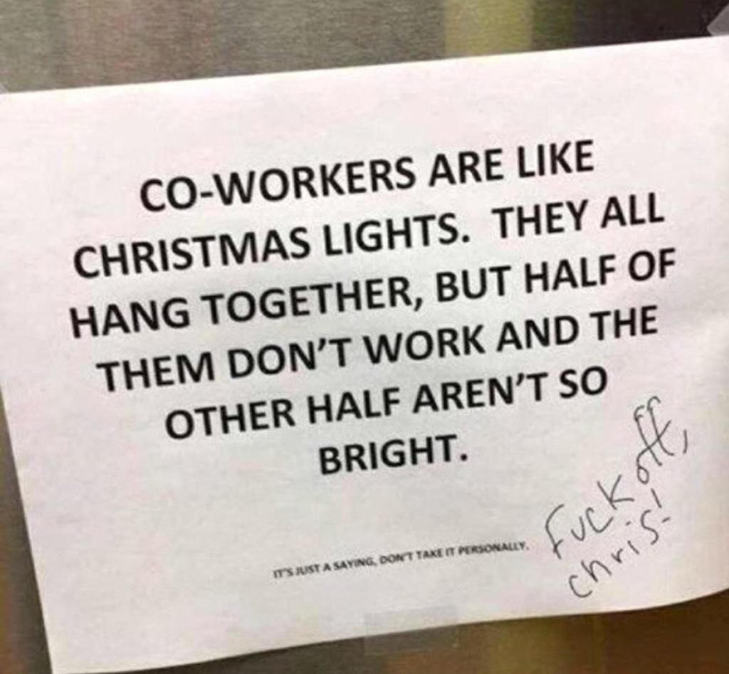Co-workers are like christams lights. They all hang together, but half of them dont work and the other half arent so bright