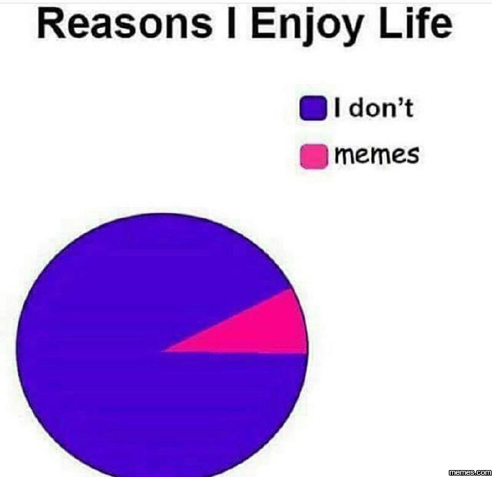 Reasons enjoy life idon't memes memes