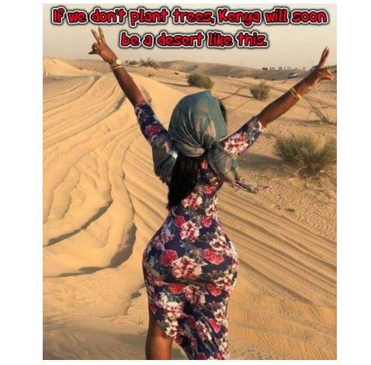 U tcducëlcagocncoa codavlau3