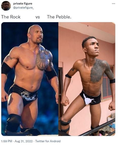 Private figure privatefigure the rock vs the pebble 1.59 pm aug 31, twitter for