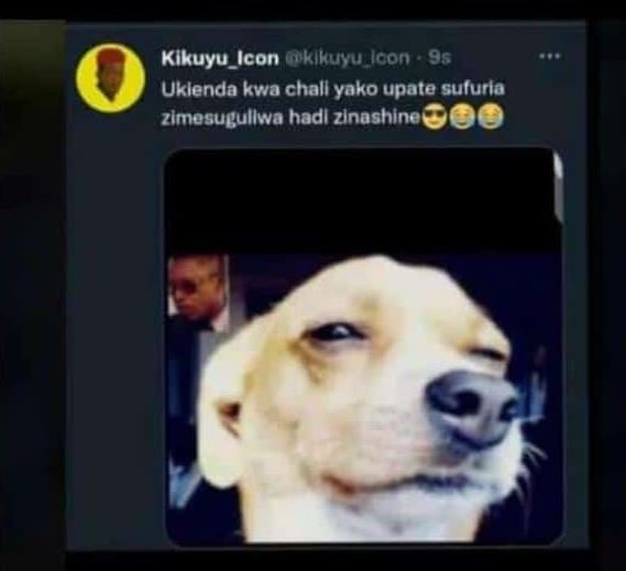 Klkuyu_icon klkuyu_icon 96 uklenda kwa chall yako upate sufurla zlmesugullwa had