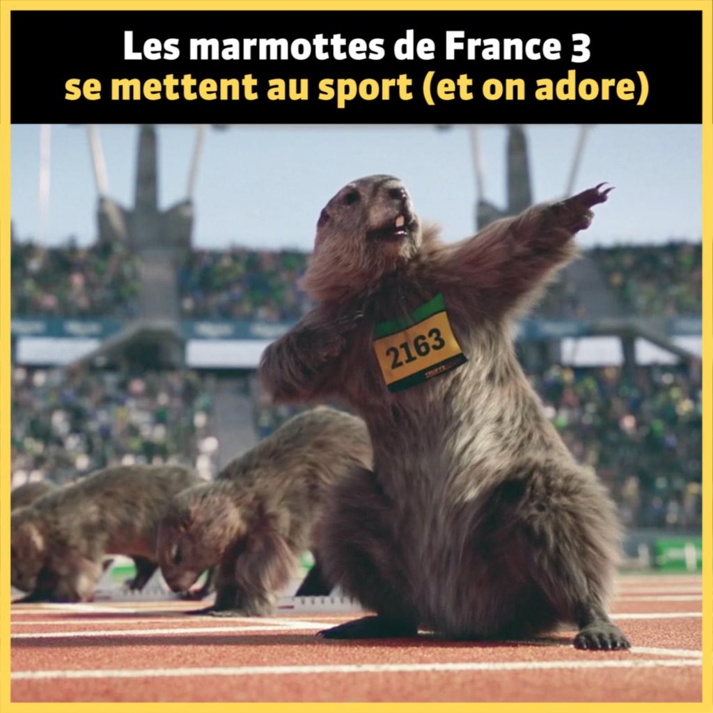 Les marmottes de france 3 se mettent au sport et on adore