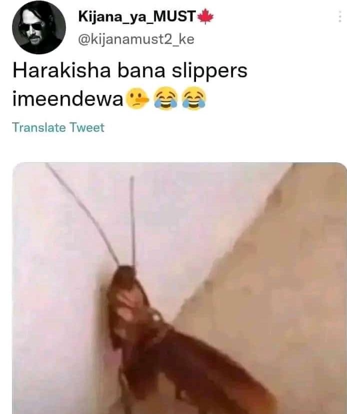 Kijana_ya_must kijanamust2_ke harakisha bana slippers imeendewa translate tweet