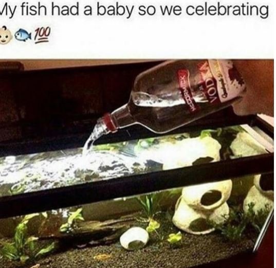 Ay fish had a baby so we celebrating 190