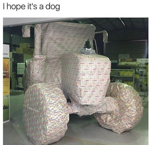 Hope it's a dog