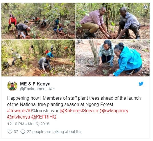 Me f kenya environment_ke happening now members of staff plant trees ahead of th