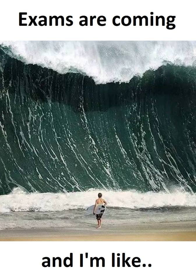 Exams are coming and i'm like..