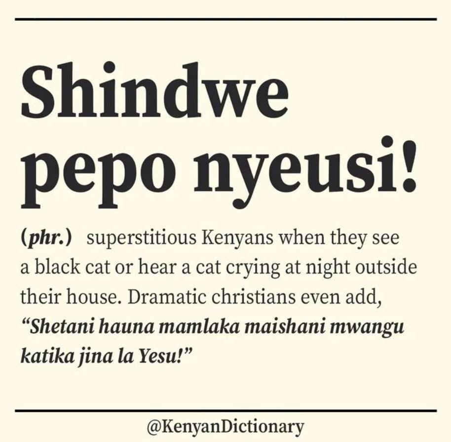 Shindwe pepo nyeusi phr superstitious kenyans when they see a black cat or hear
