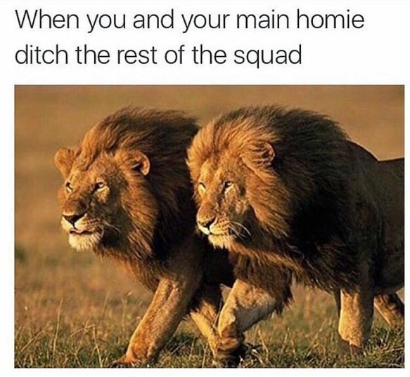 When you and your main homie ditch the rest of the squad