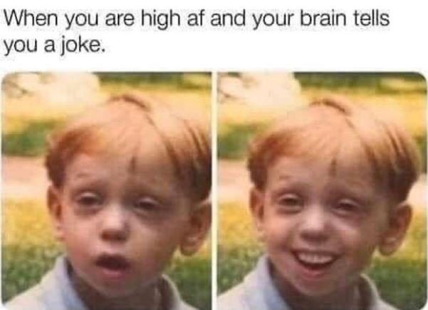 When you are high af and your brain tells you a joke.