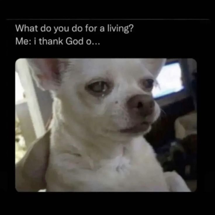 What do you do for a living? me i thank god 0.