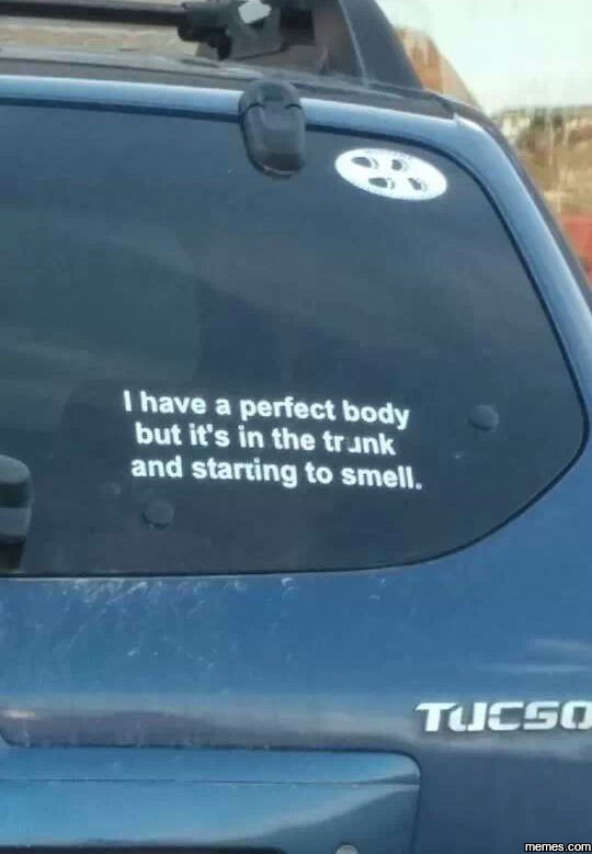 Have a perfect body but it's in the tr jnk and starring to smell. tueso memes co