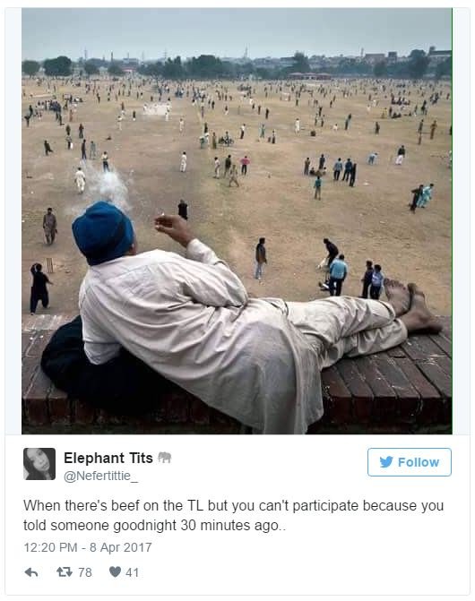 Elephant tits nefertittie follow when there's beef on the tl but you can't parti