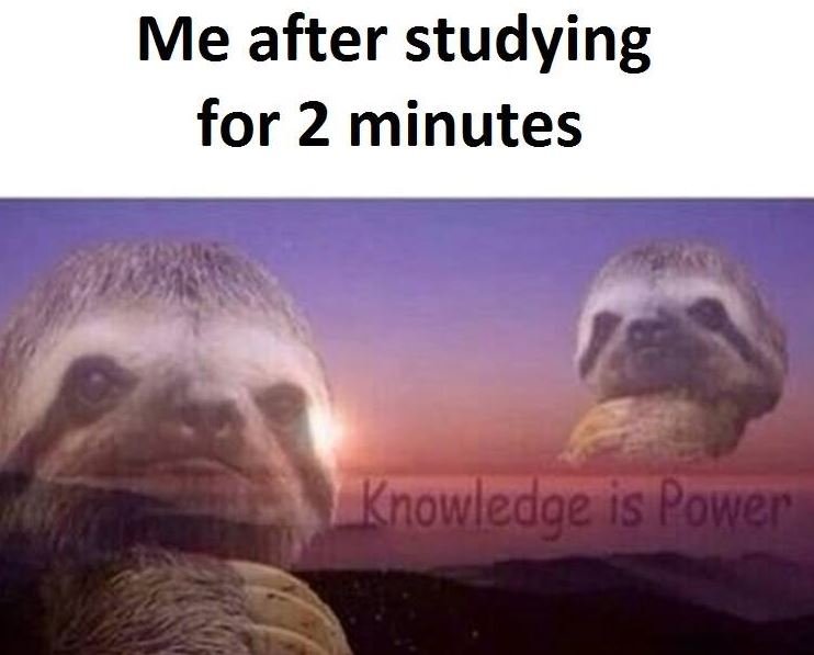 Me after studying for 2 minutes knowledge is power