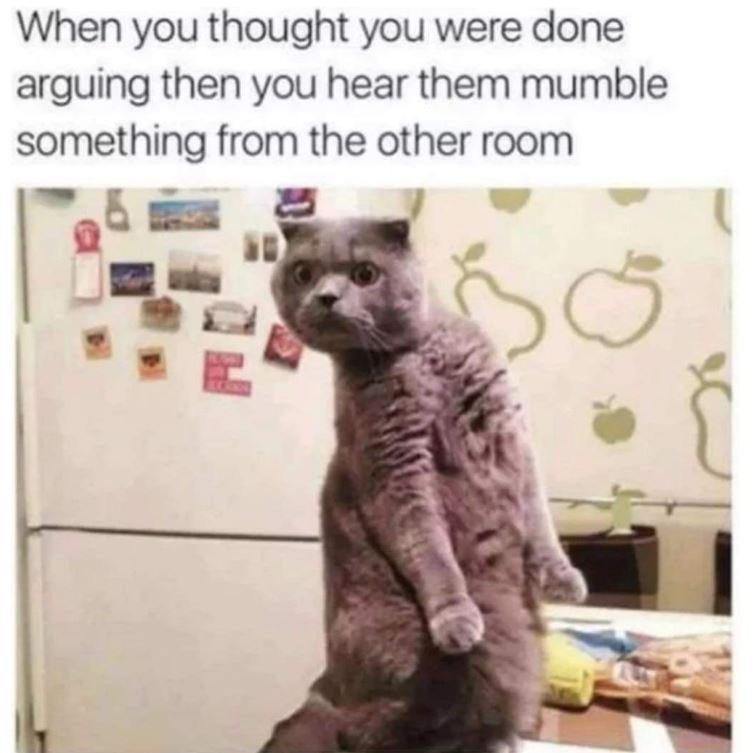 When you thought you were done arguing then you hear them mumble something from