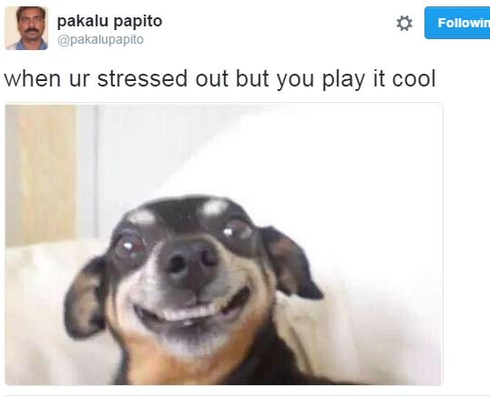 Pakalu papito pakalupapito followin when ur stressed out but you play it cool