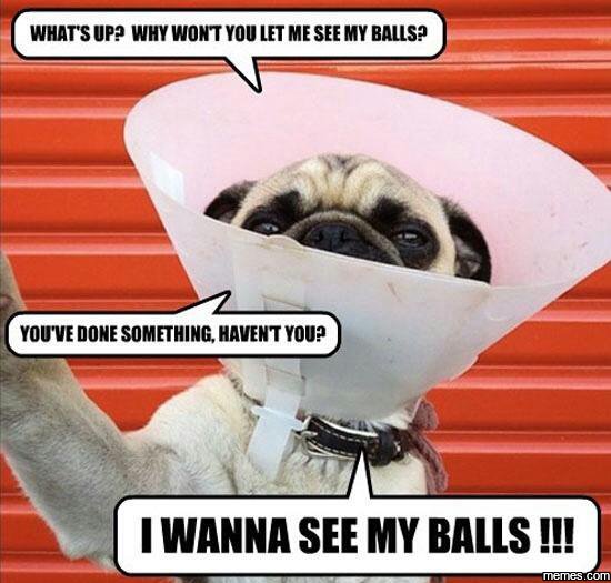 Whats up? why wont you let me see my balls? you've done something, havent you? w