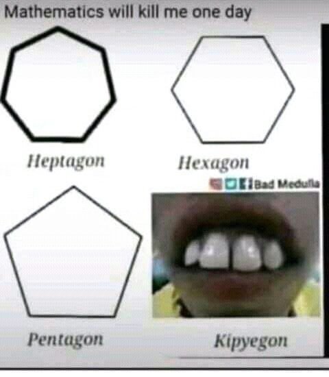 Mathematlcs will kill me one day heptagon ilexagon oaavcoun pentagon kipyegon