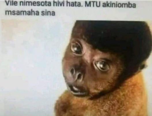 Vile nimesota hivi hata. mtu akiniomba msamaha sina