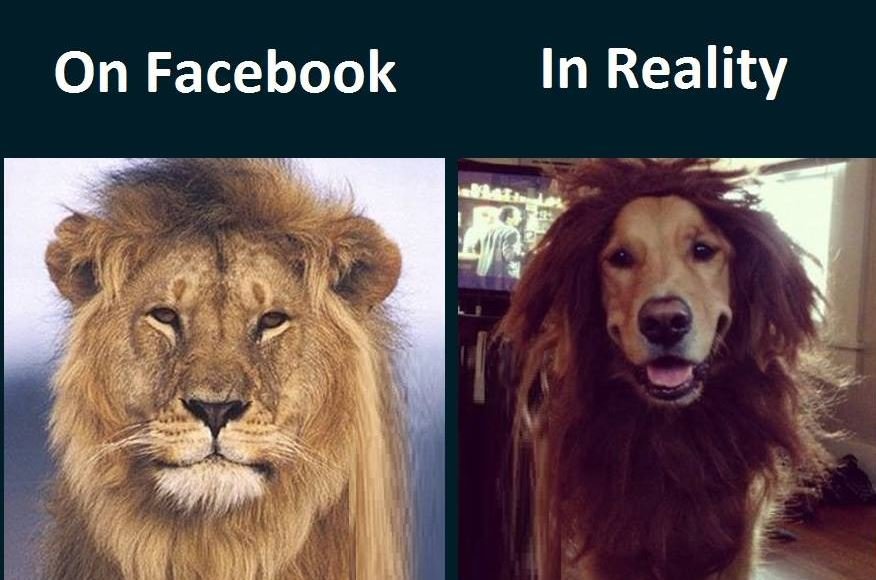 On facebook in reality