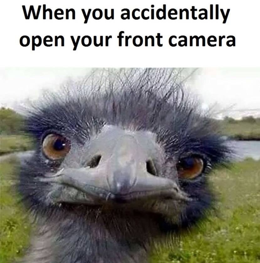 When you accidentally open your front camera