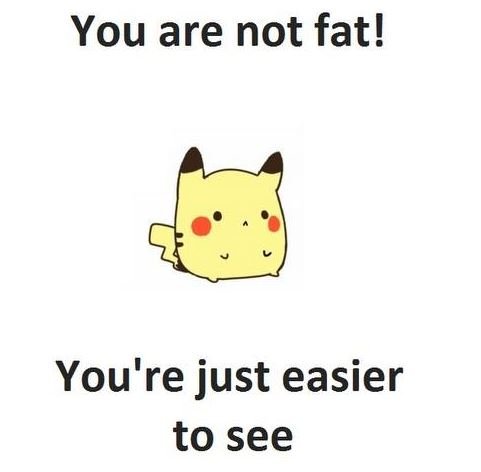 You are not fat! you're just easier to see