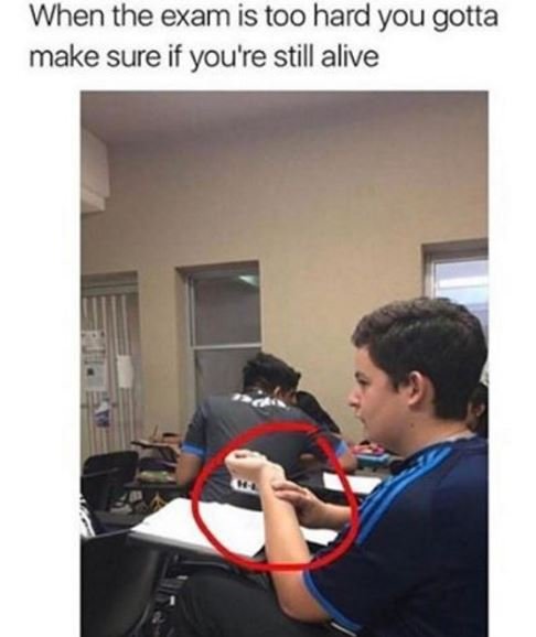 When the exam is too hard you gotta make sure if you're still alive