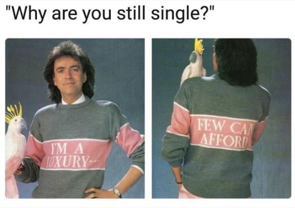 Why are you still single? tew cai aitord tm juxury