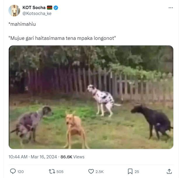 Kot socha kotsocha_ke 'mahimahiu mujue gari haitasimama tena mpaka longonot 10.4