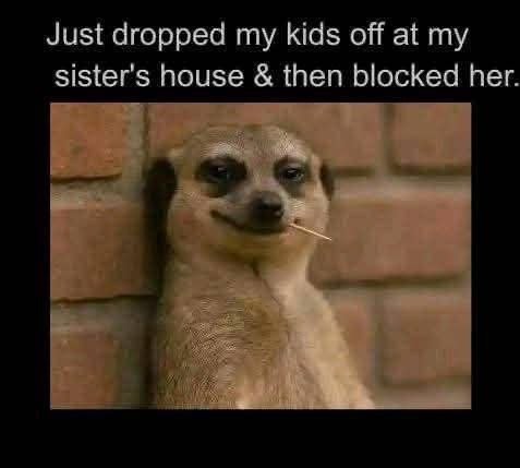 Just dropped my kids off at my sister's house then blocked her