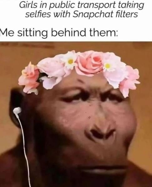 Girls in public transport taking selfies with snapchat filters me sitting behind