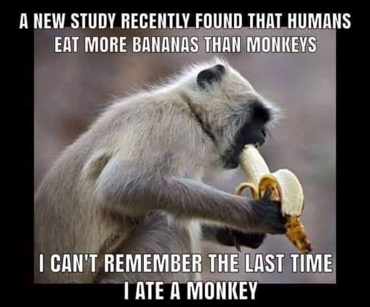 4 new study recently found that humans eat more bananas thai momieys caw't remem